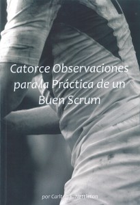 Imagen del libro Catorce Observaciones para la Práctica de un Buen Scrum